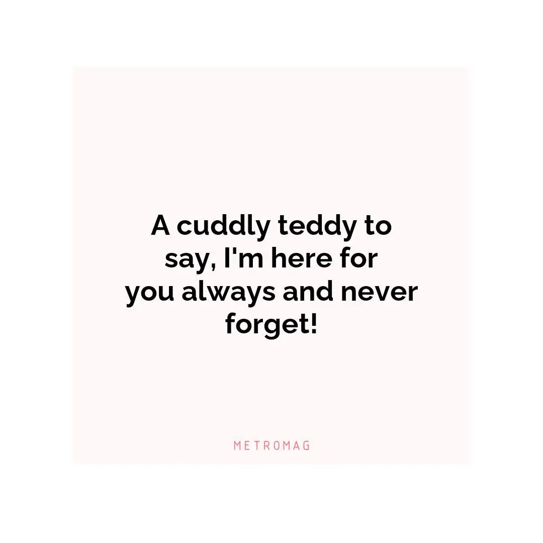 A cuddly teddy to say, I'm here for you always and never forget!