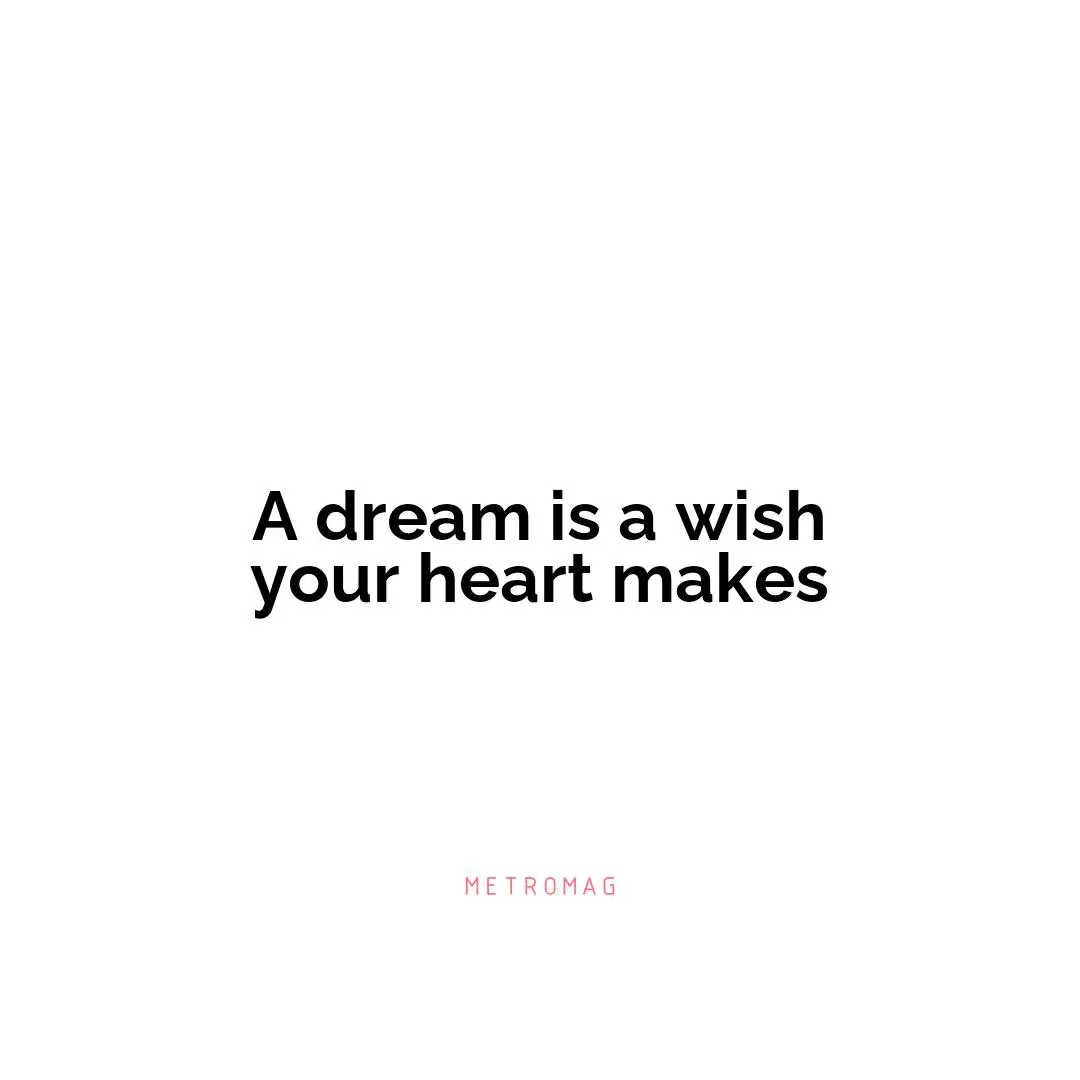 A dream is a wish your heart makes