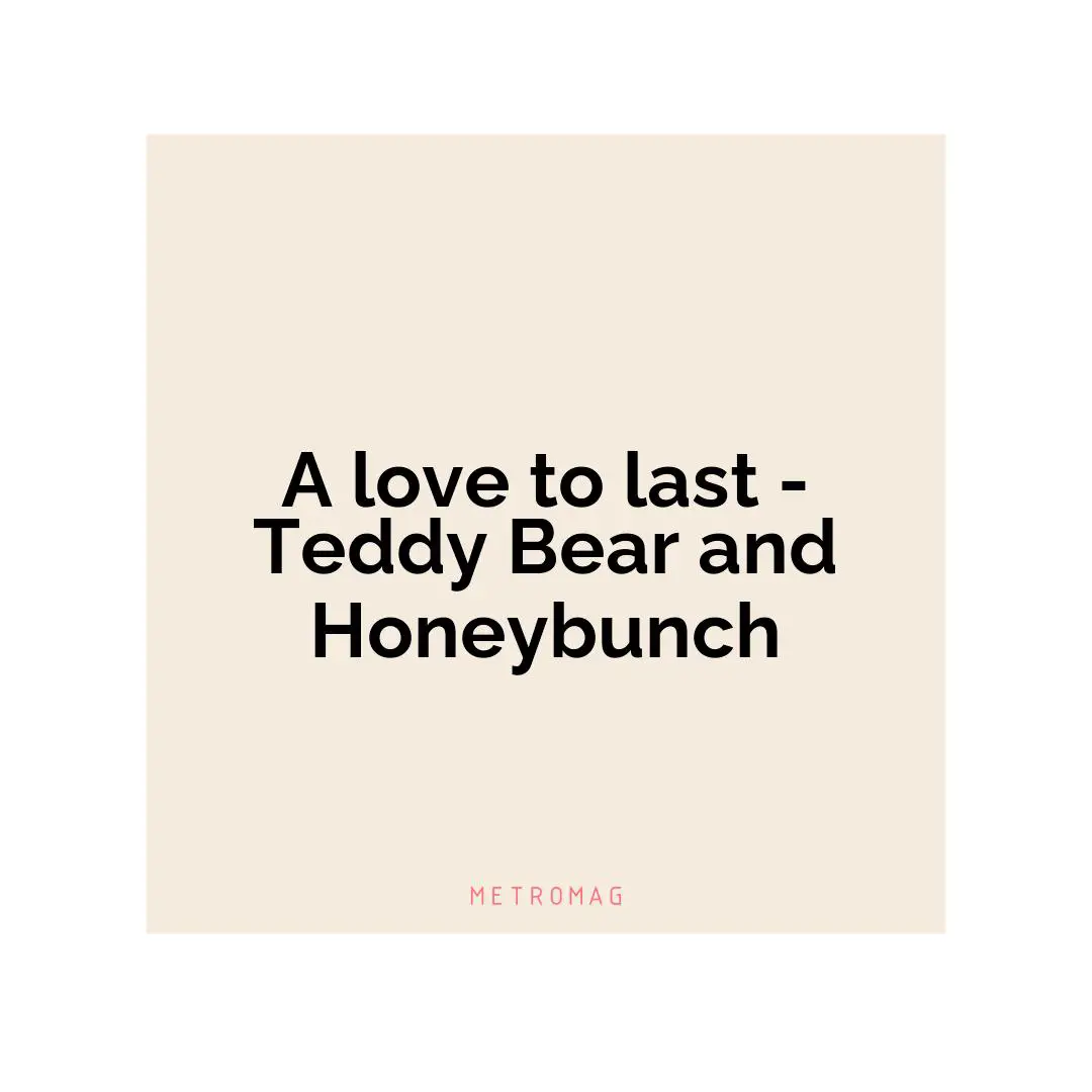 A love to last - Teddy Bear and Honeybunch