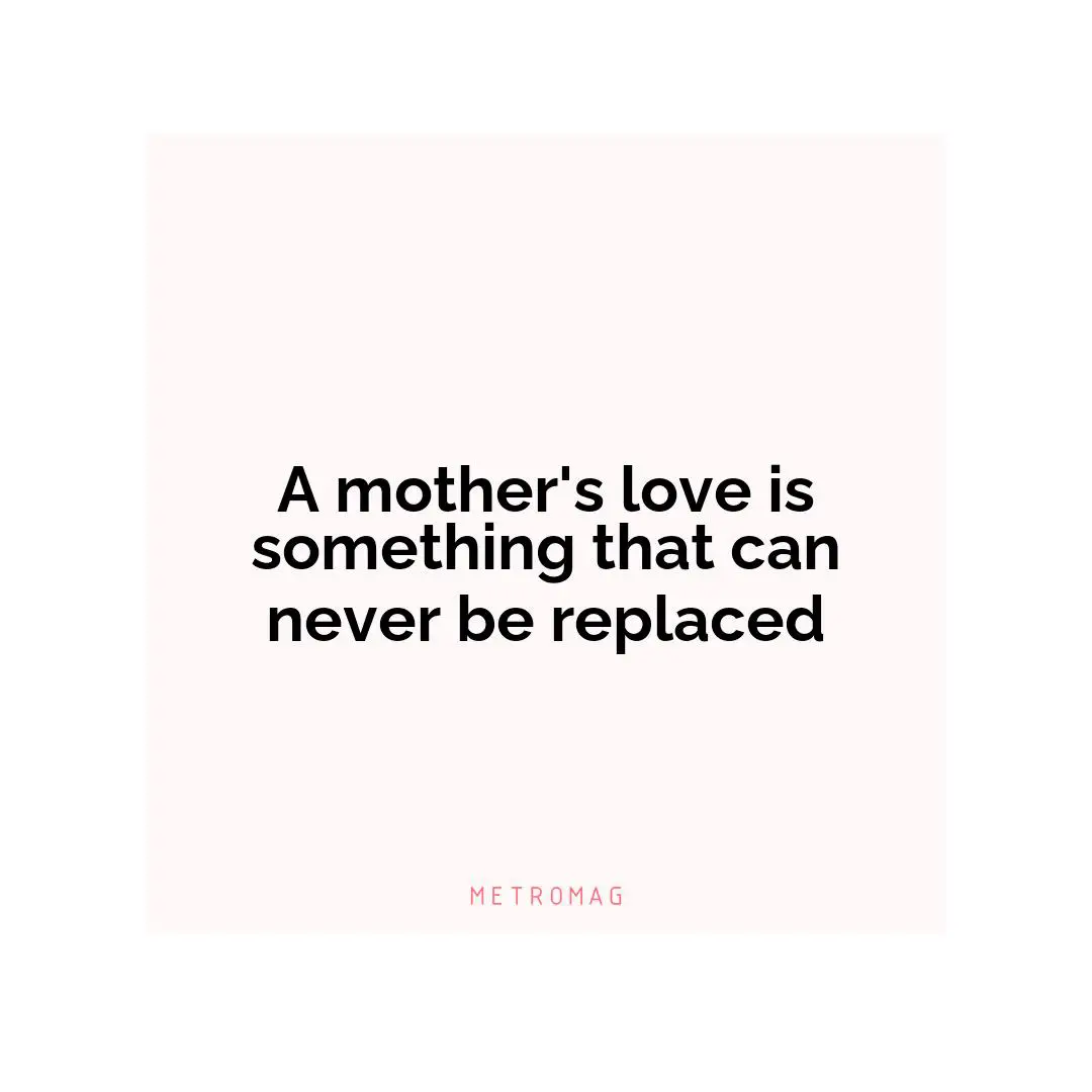 A mother's love is something that can never be replaced