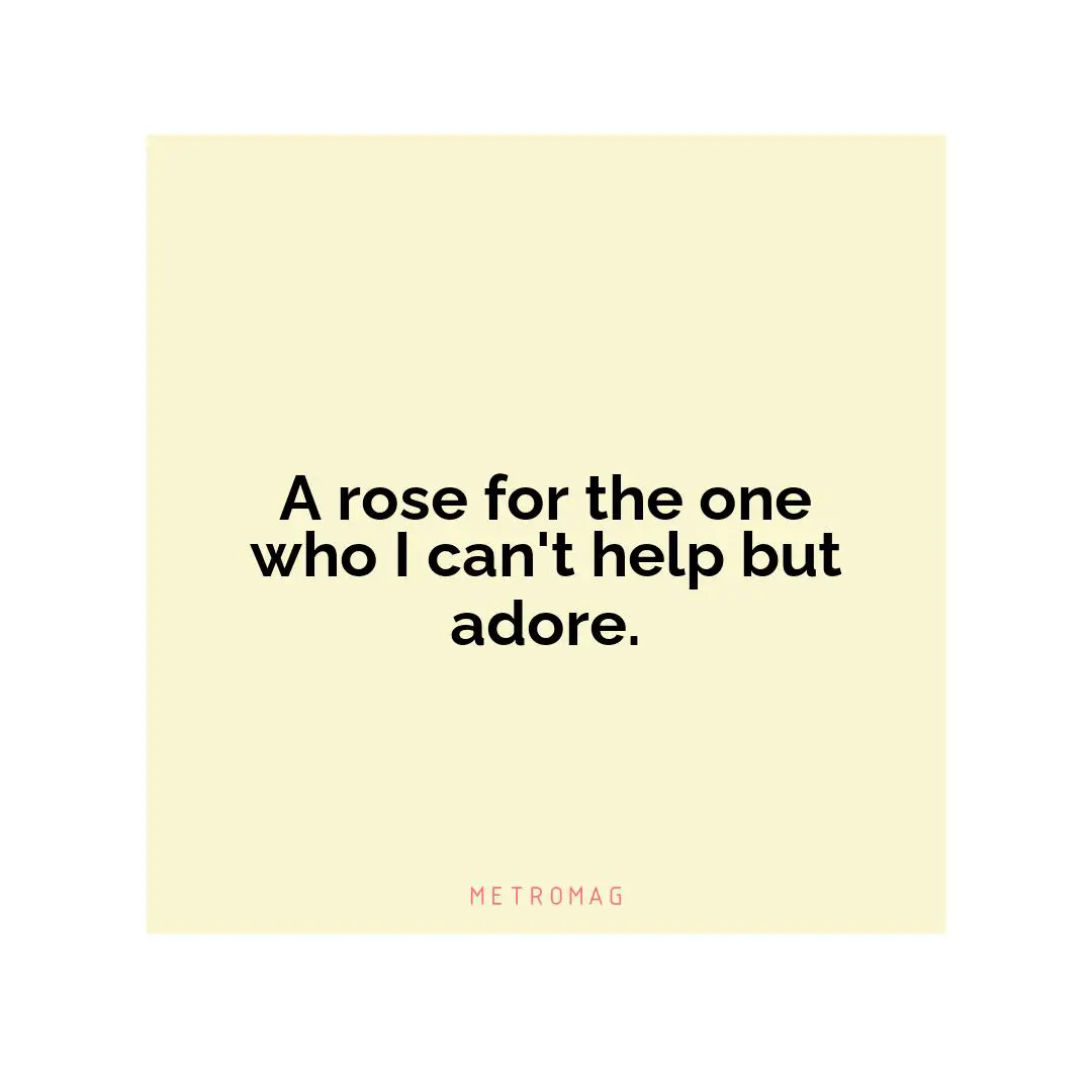 A rose for the one who I can't help but adore.