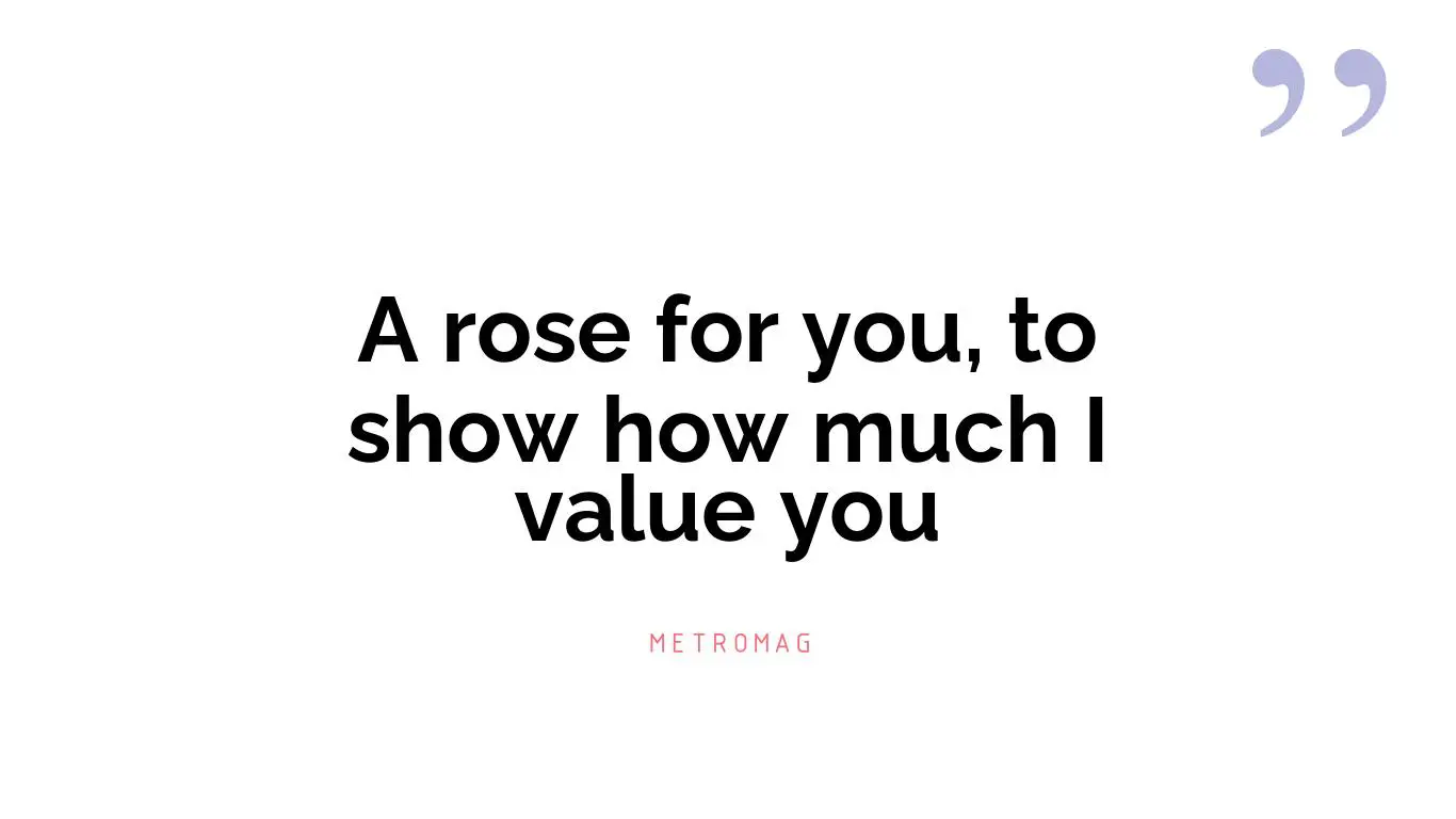 A rose for you, to show how much I value you