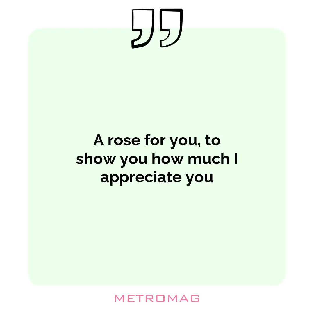 A rose for you, to show you how much I appreciate you