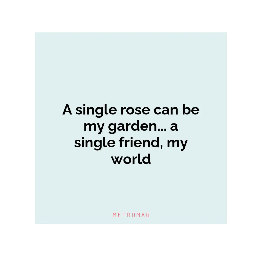 A single rose can be my garden... a single friend, my world