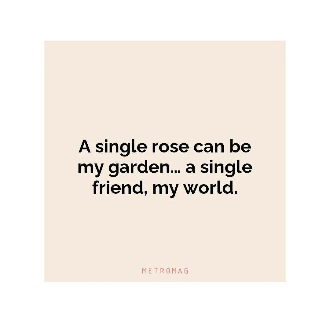 A single rose can be my garden… a single friend, my world.