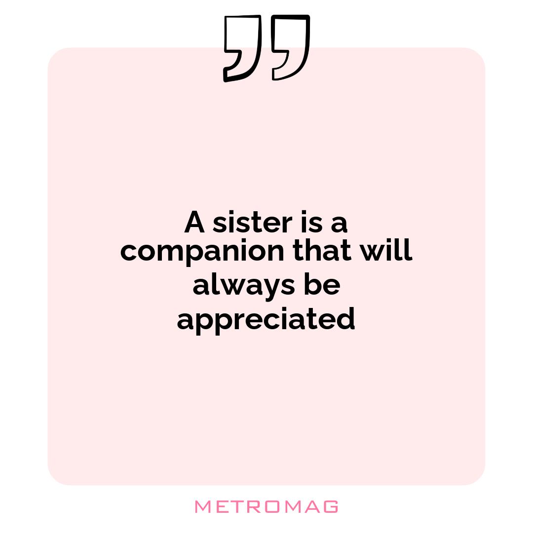 A sister is a companion that will always be appreciated
