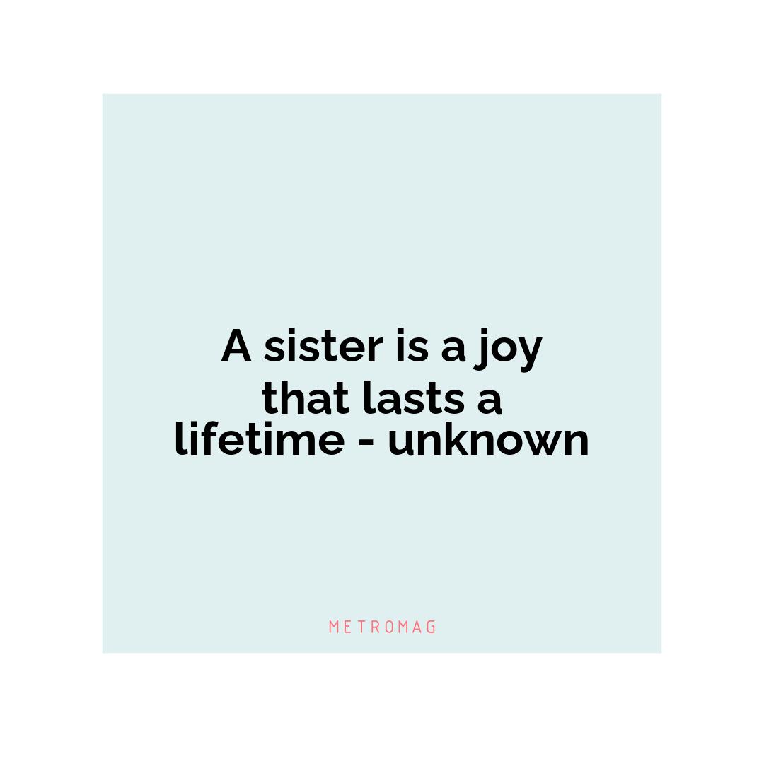 A sister is a joy that lasts a lifetime - unknown