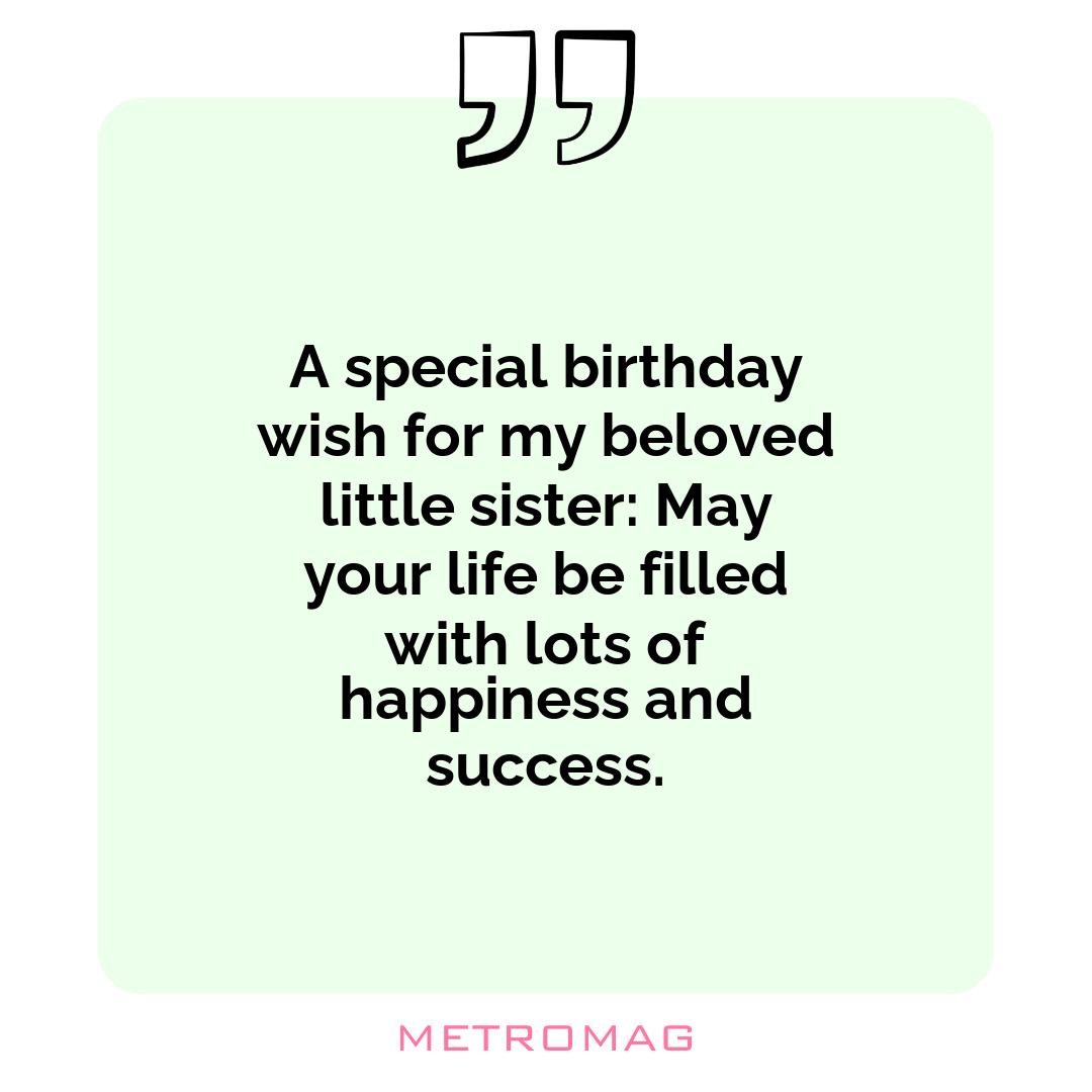 A special birthday wish for my beloved little sister: May your life be filled with lots of happiness and success.