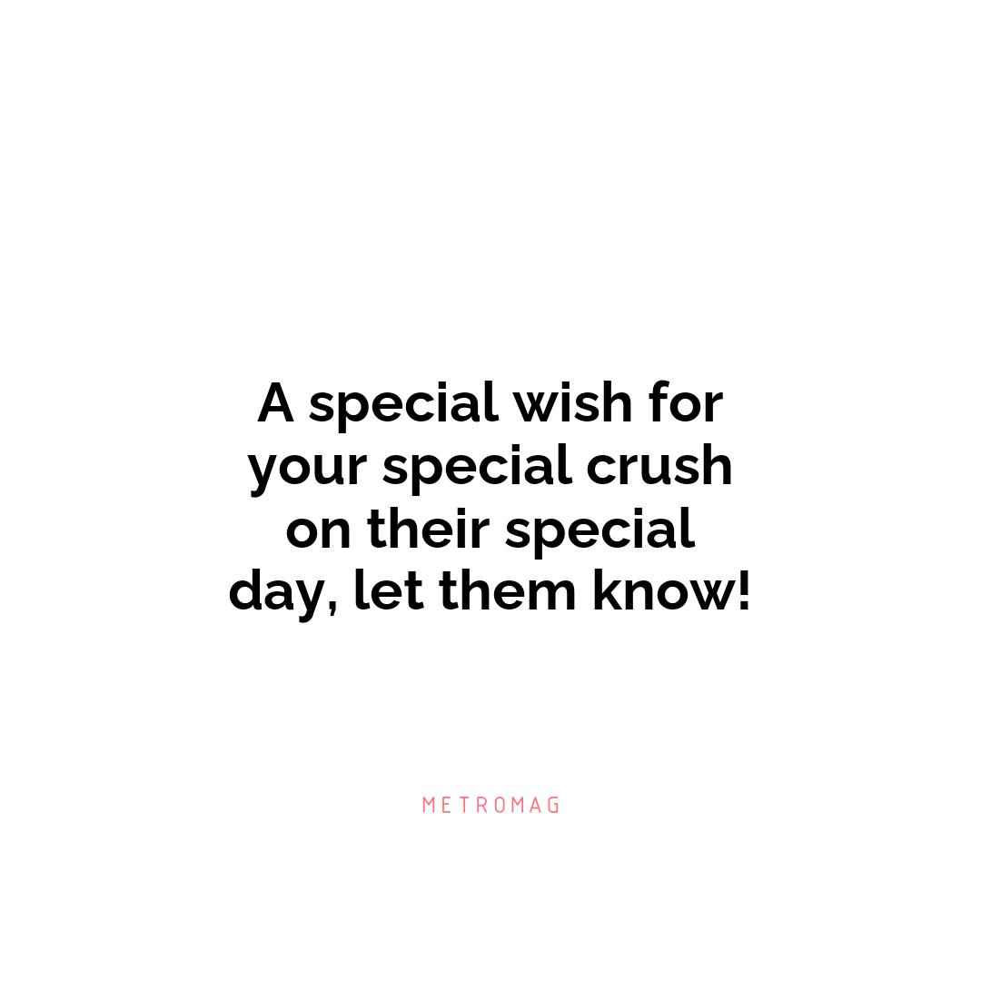 A special wish for your special crush on their special day, let them know!