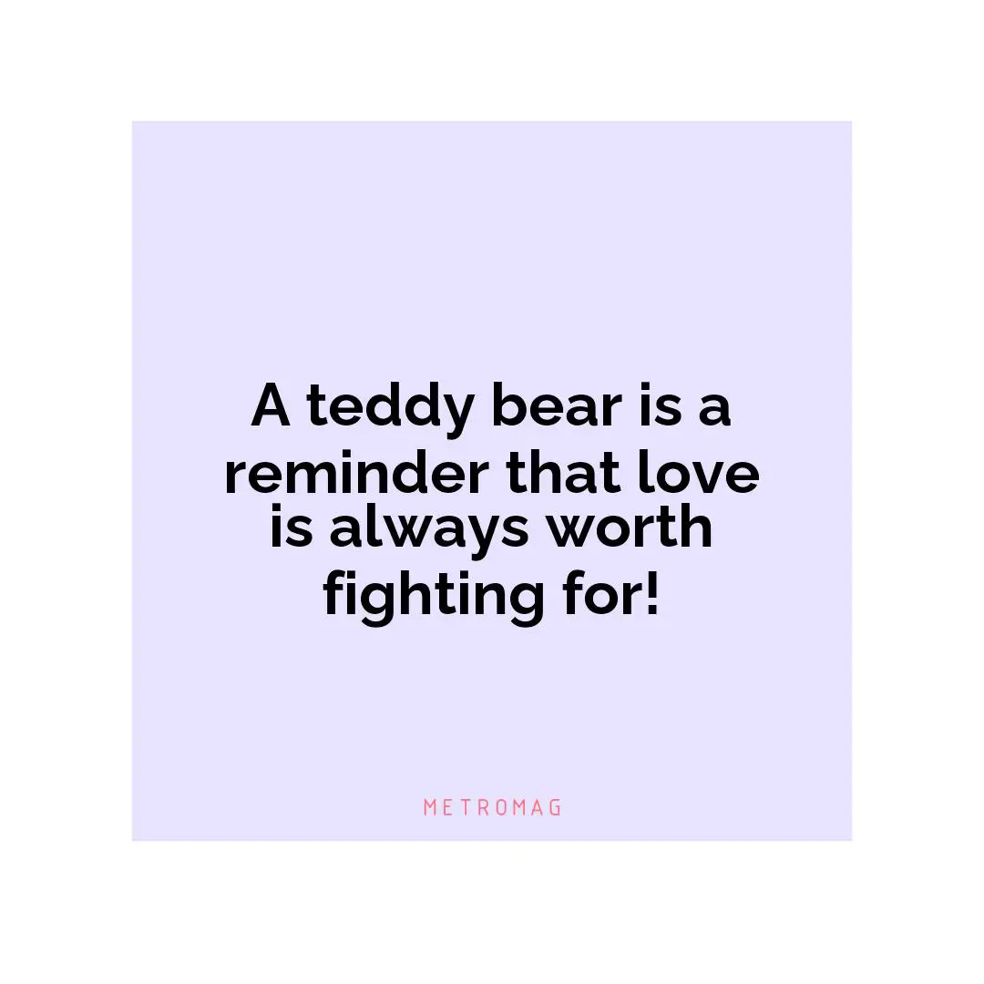 A teddy bear is a reminder that love is always worth fighting for!