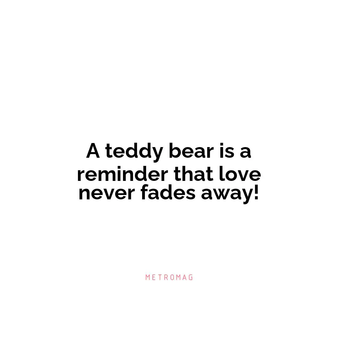 A teddy bear is a reminder that love never fades away!