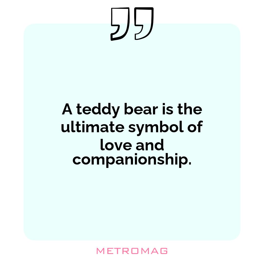 A teddy bear is the ultimate symbol of love and companionship.