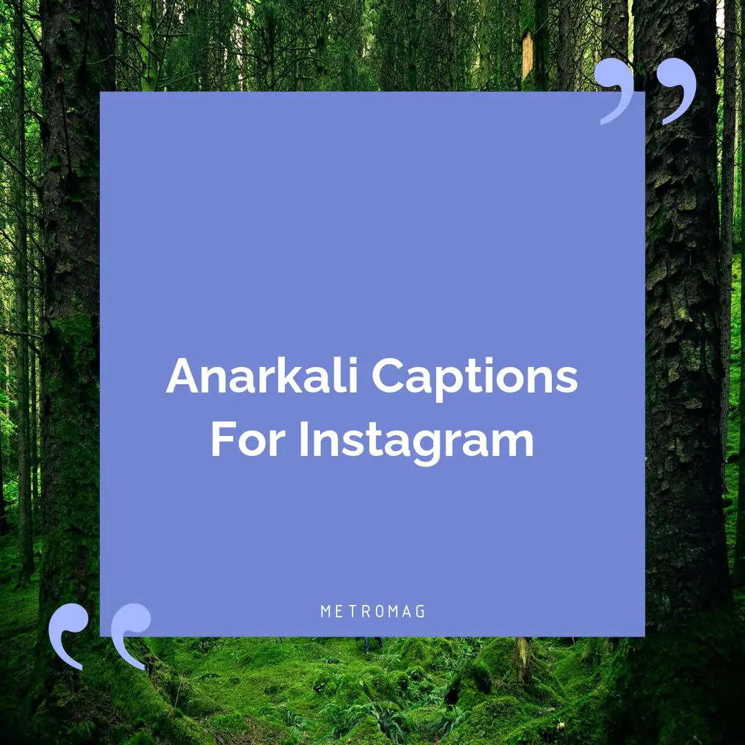 Anarkali Captions For Instagram