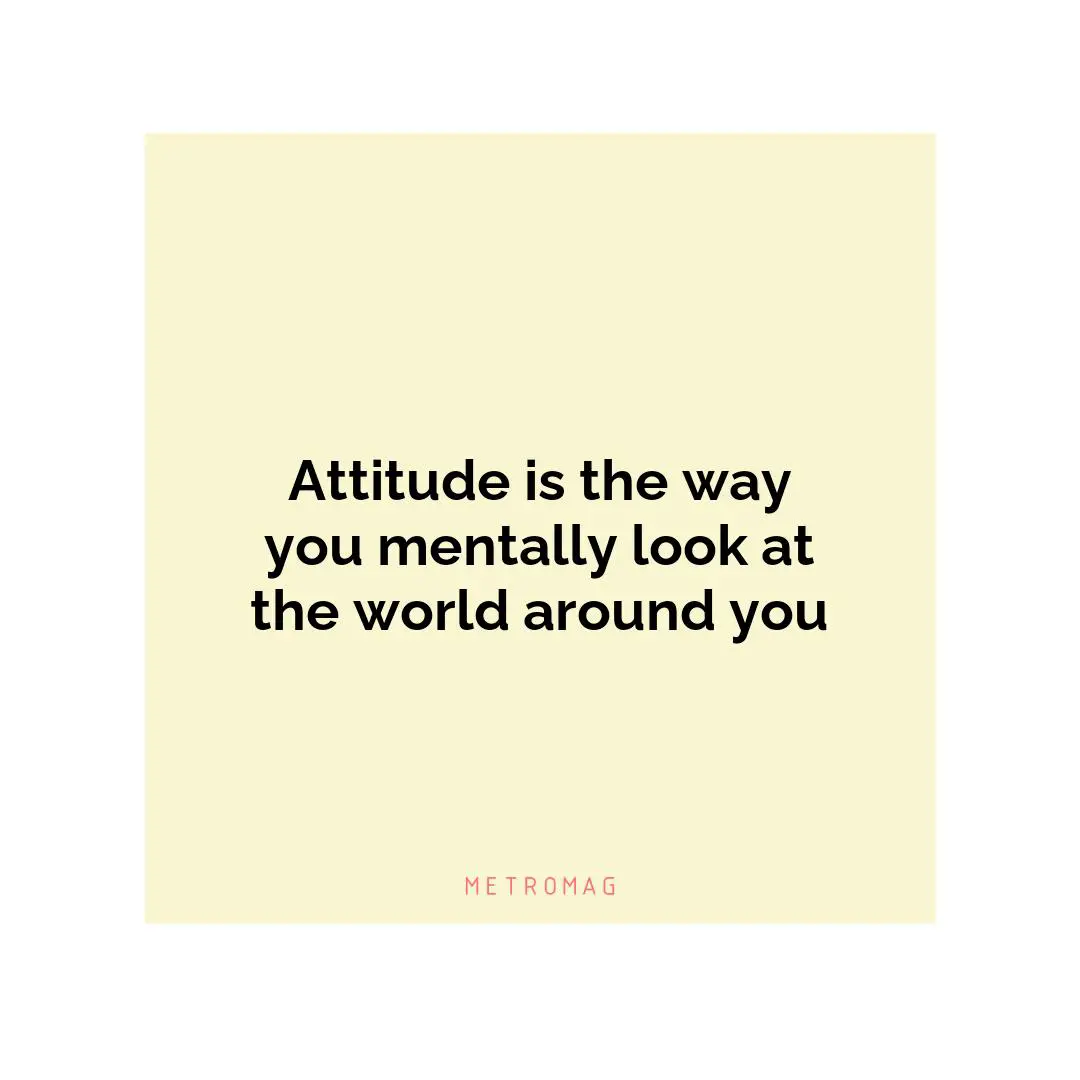 Attitude is the way you mentally look at the world around you