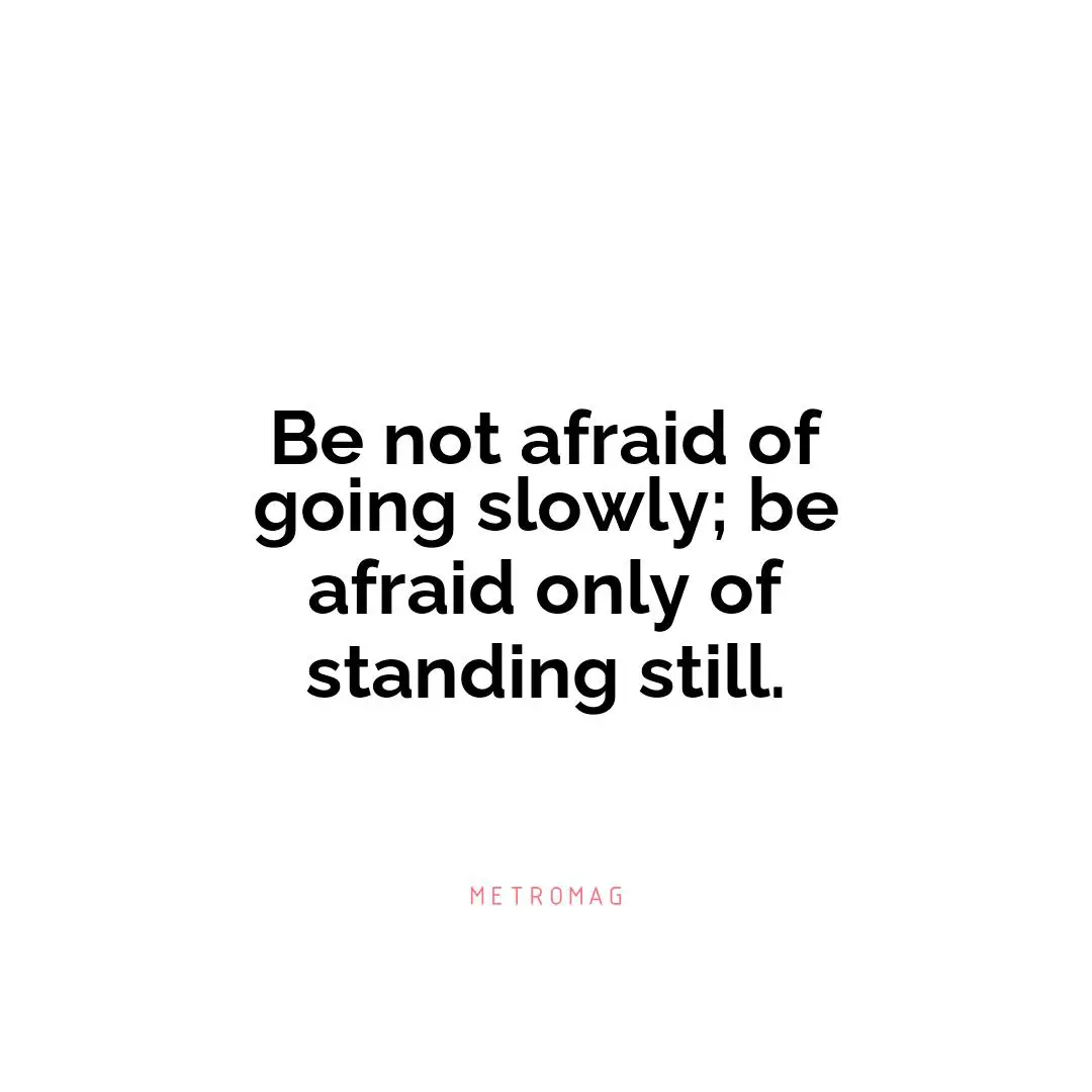 Be not afraid of going slowly; be afraid only of standing still.