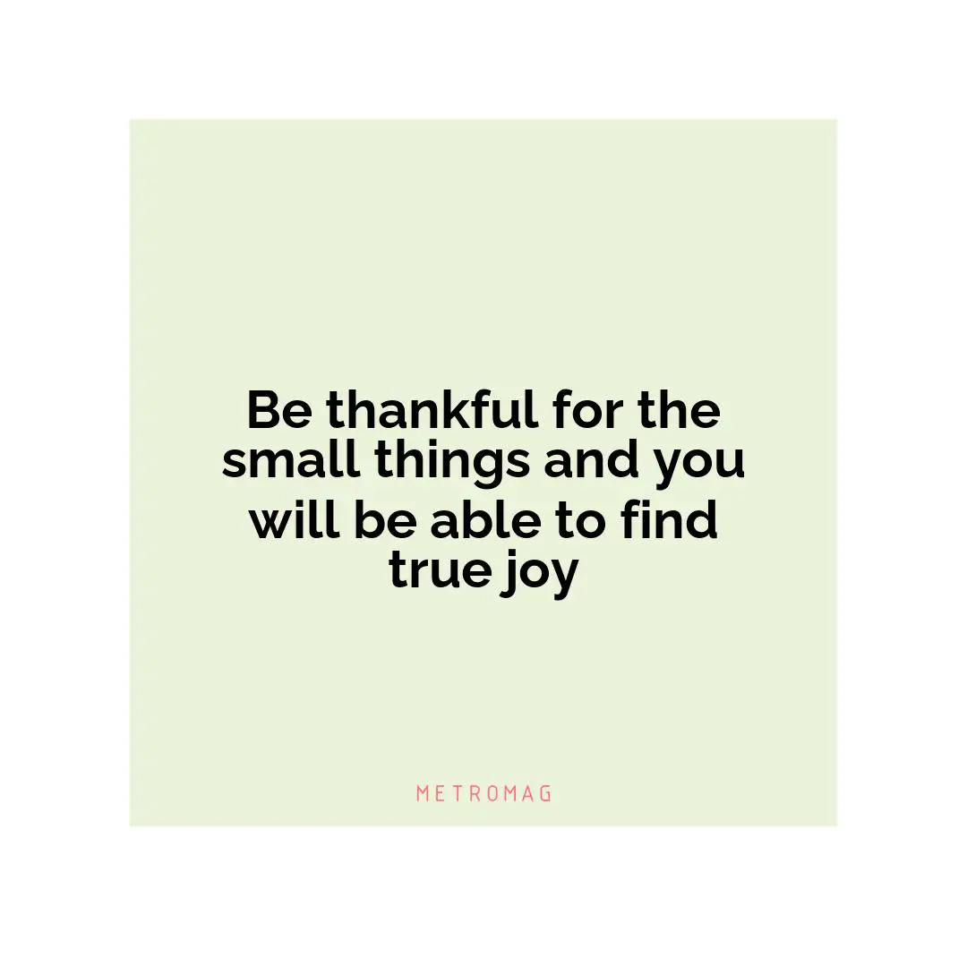 Be thankful for the small things and you will be able to find true joy