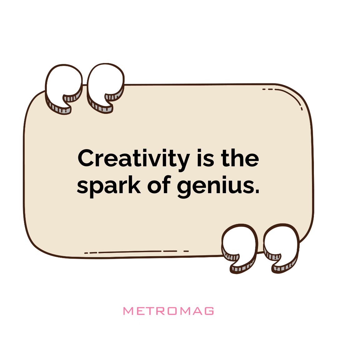 Creativity is the spark of genius.