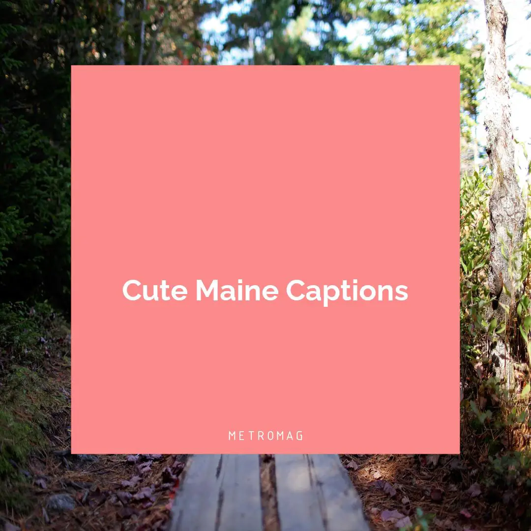Cute Maine Captions