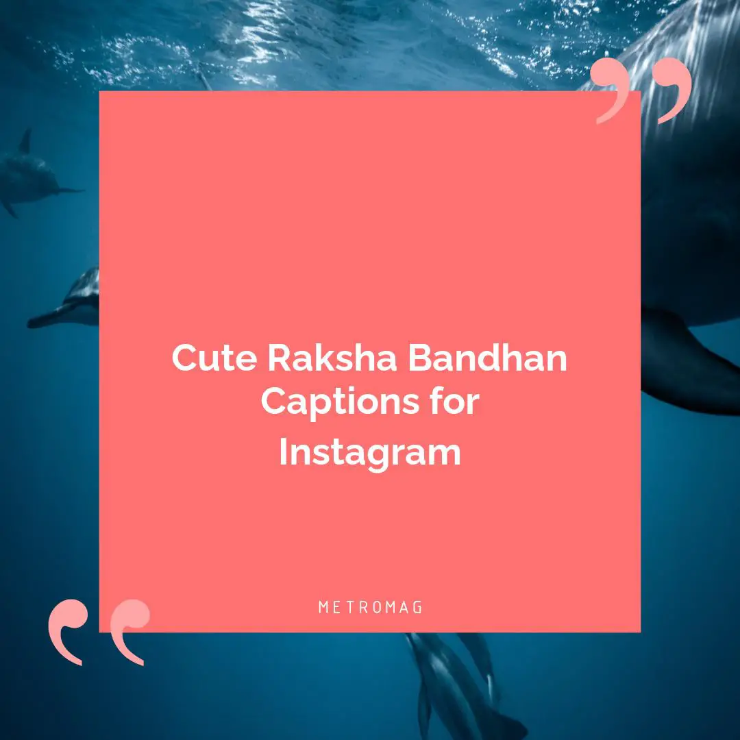 Cute Raksha Bandhan Captions for Instagram