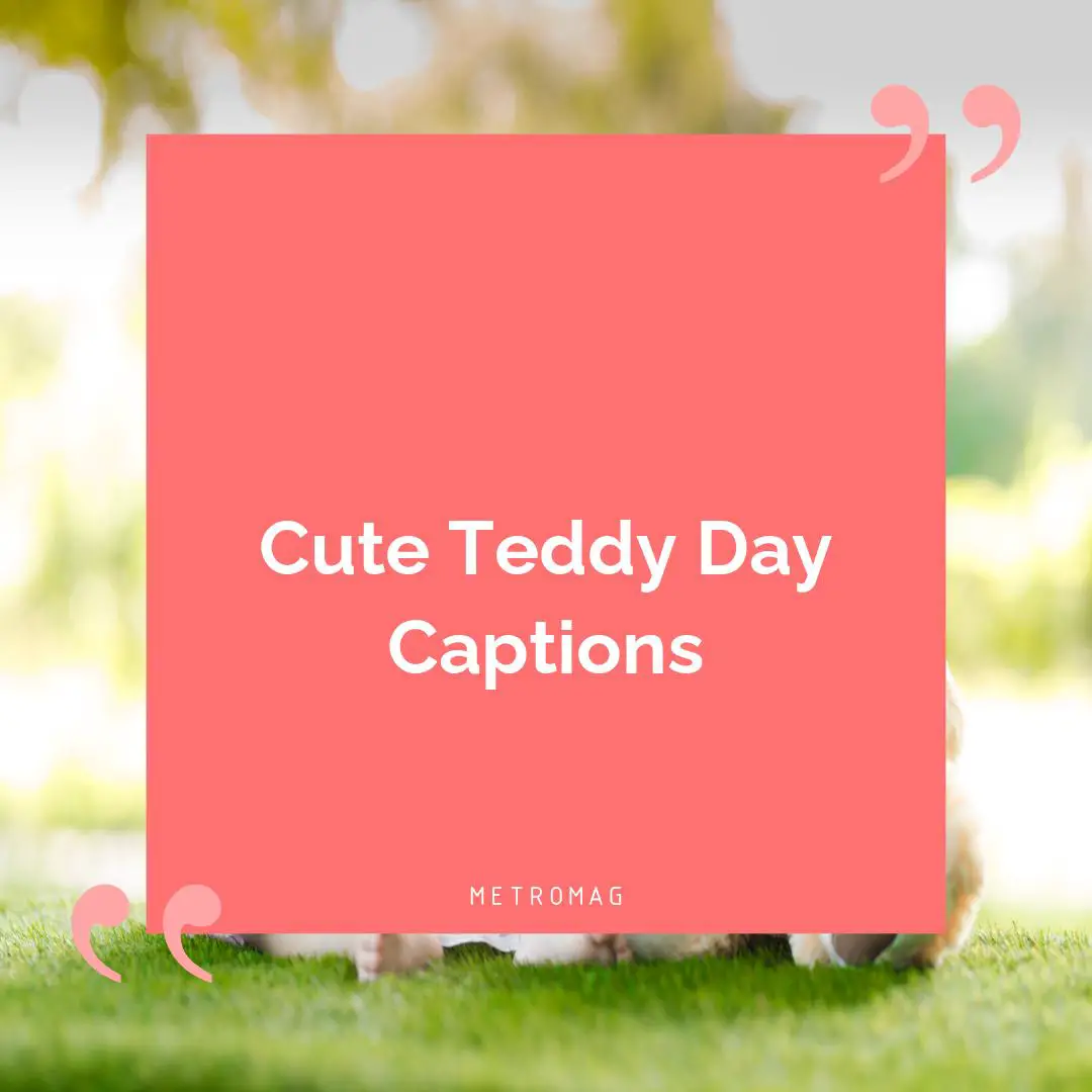 Cute Teddy Day Captions