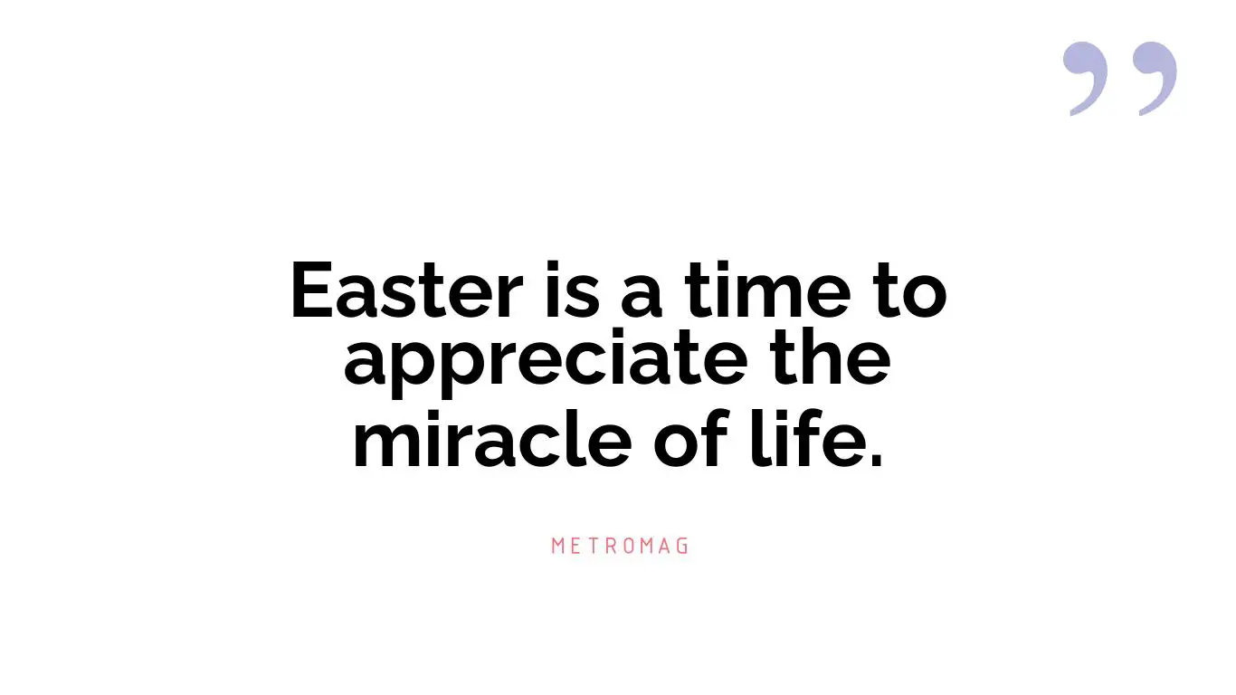 Easter is a time to appreciate the miracle of life.