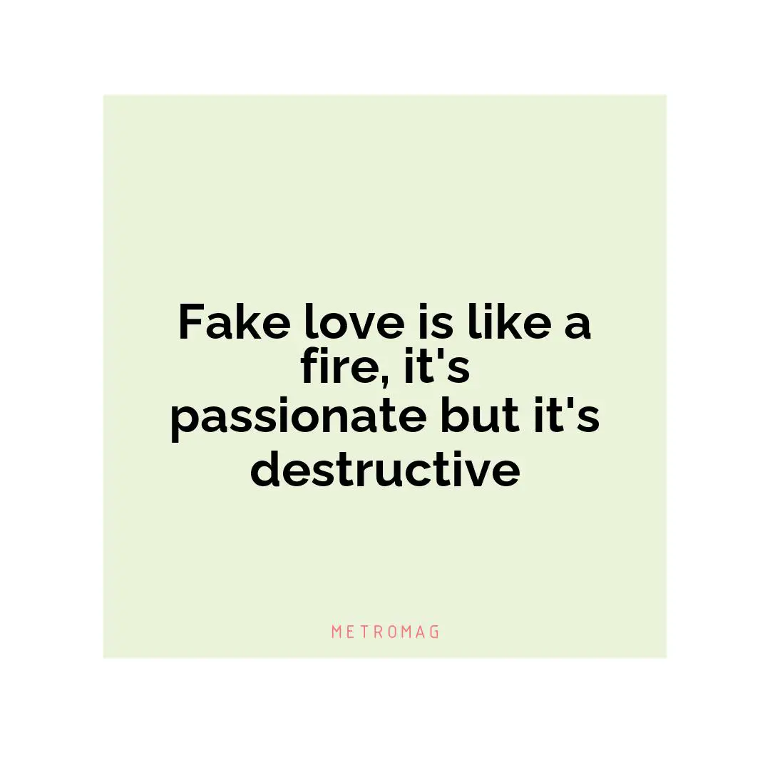 Fake love is like a fire, it's passionate but it's destructive
