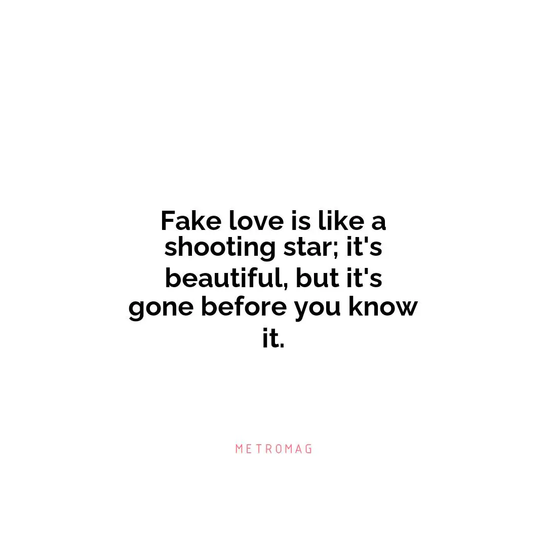 Fake love is like a shooting star; it's beautiful, but it's gone before you know it.