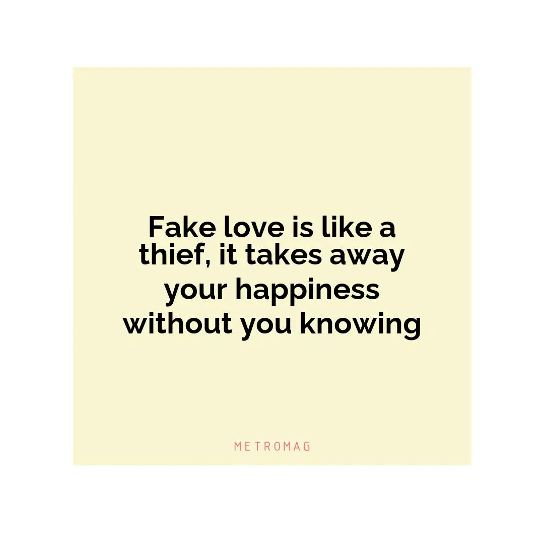 Fake love is like a thief, it takes away your happiness without you knowing