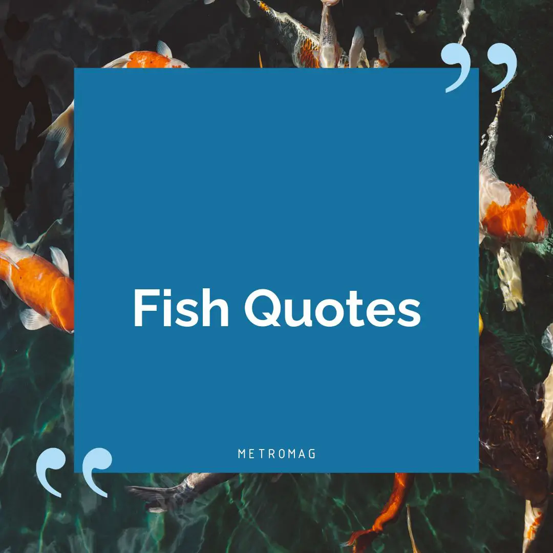 Fish Quotes