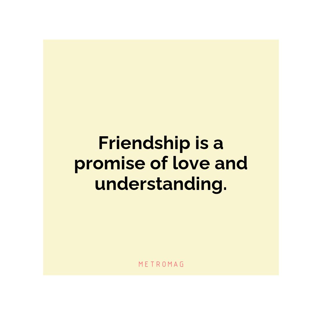 Friendship is a promise of love and understanding.