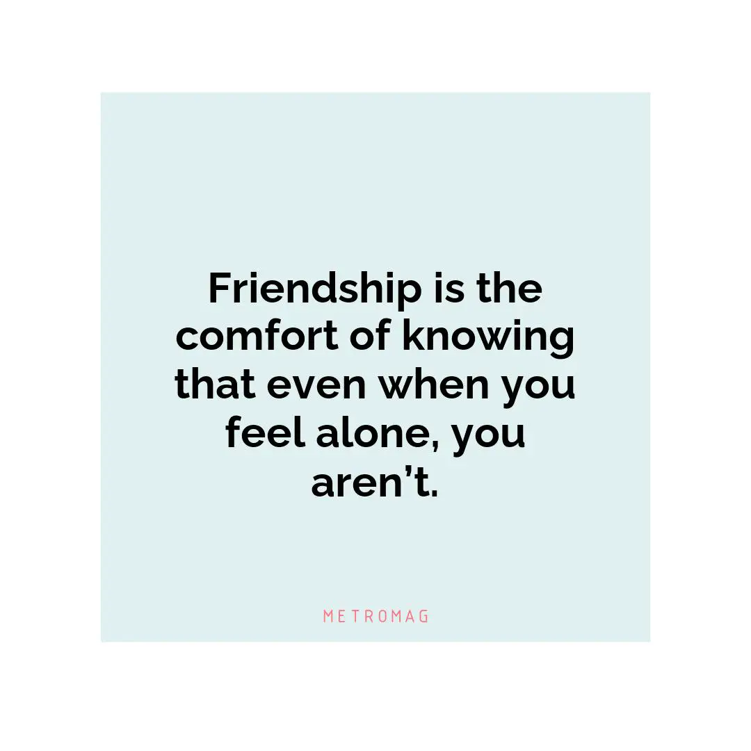 Friendship is the comfort of knowing that even when you feel alone, you aren’t.