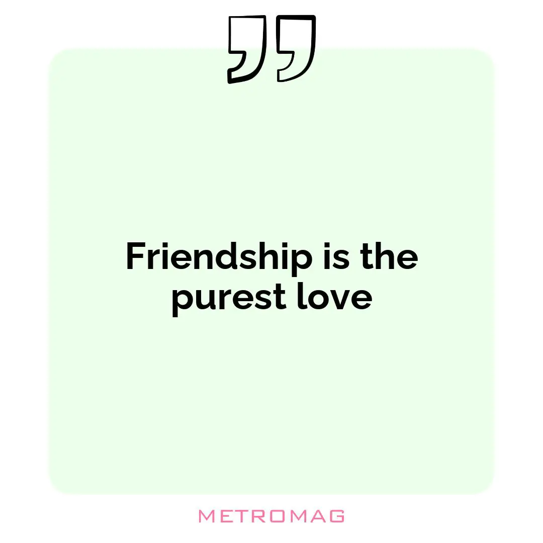 Friendship is the purest love