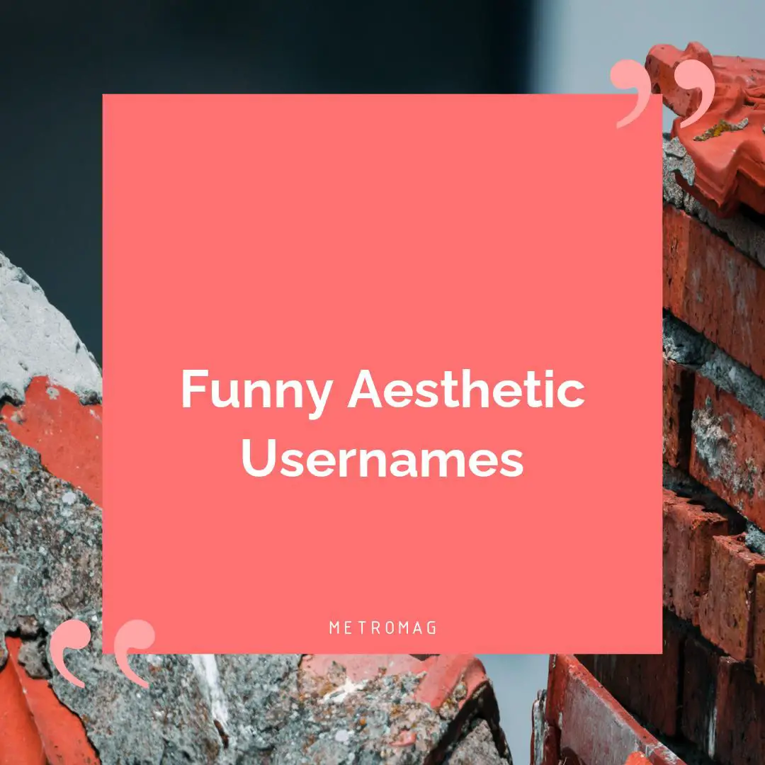 Funny Aesthetic Usernames
