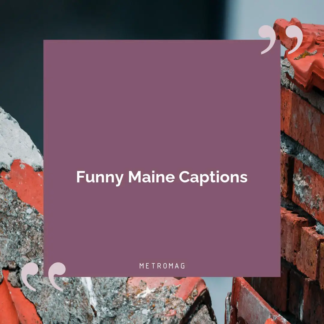 Funny Maine Captions