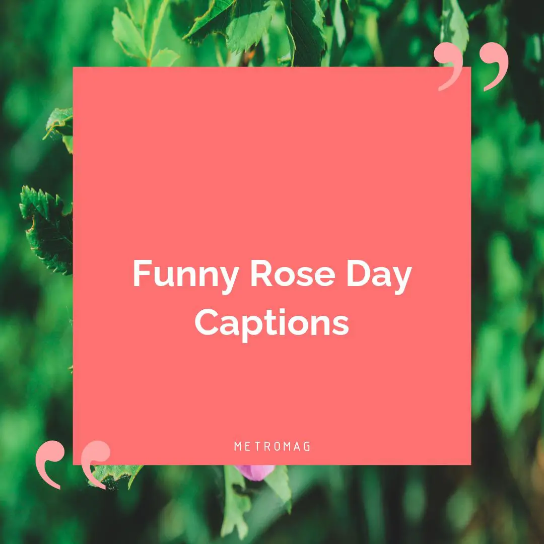 Funny Rose Day Captions