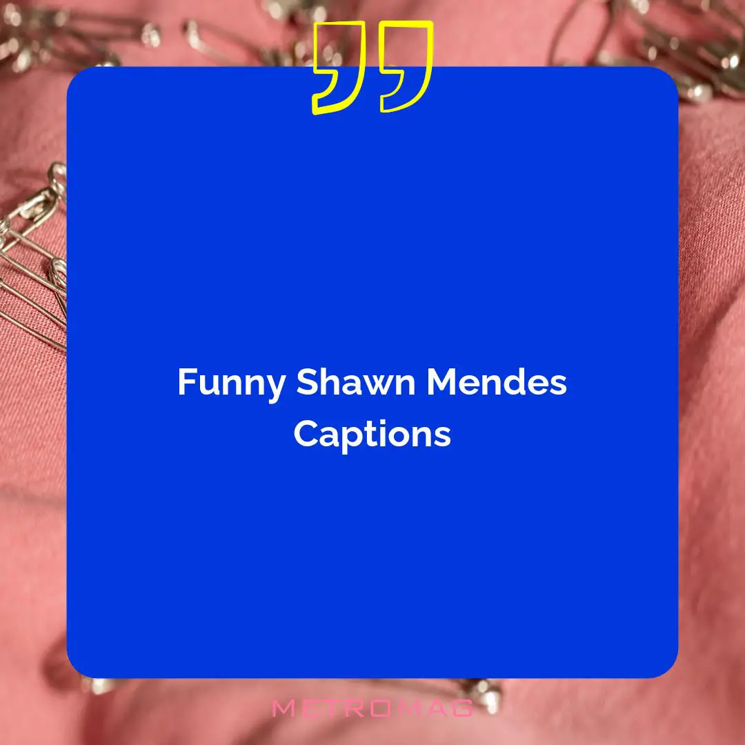Funny Shawn Mendes Captions