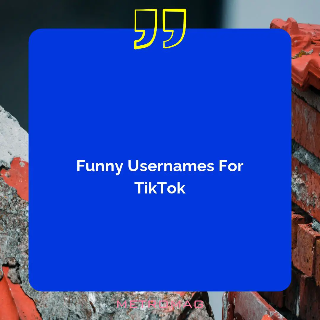 Funny Usernames For TikTok
