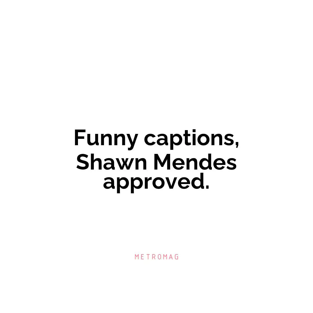 Funny captions, Shawn Mendes approved.