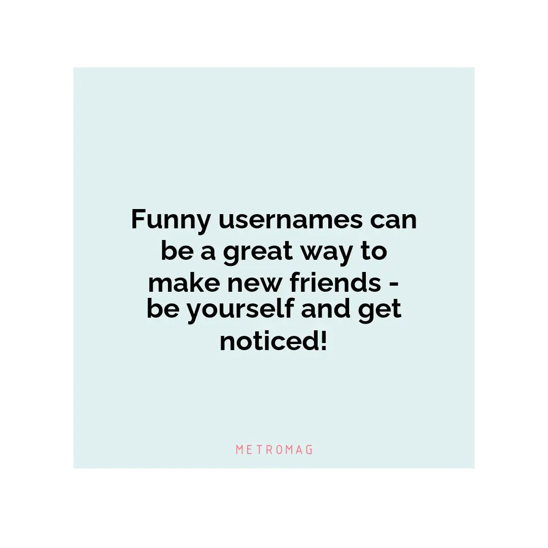 Funny usernames can be a great way to make new friends - be yourself and get noticed!
