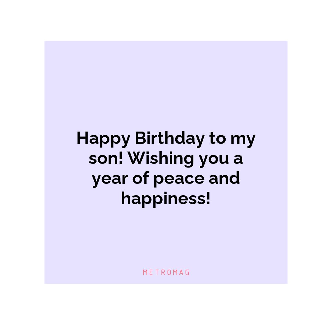 Happy Birthday to my son! Wishing you a year of peace and happiness!