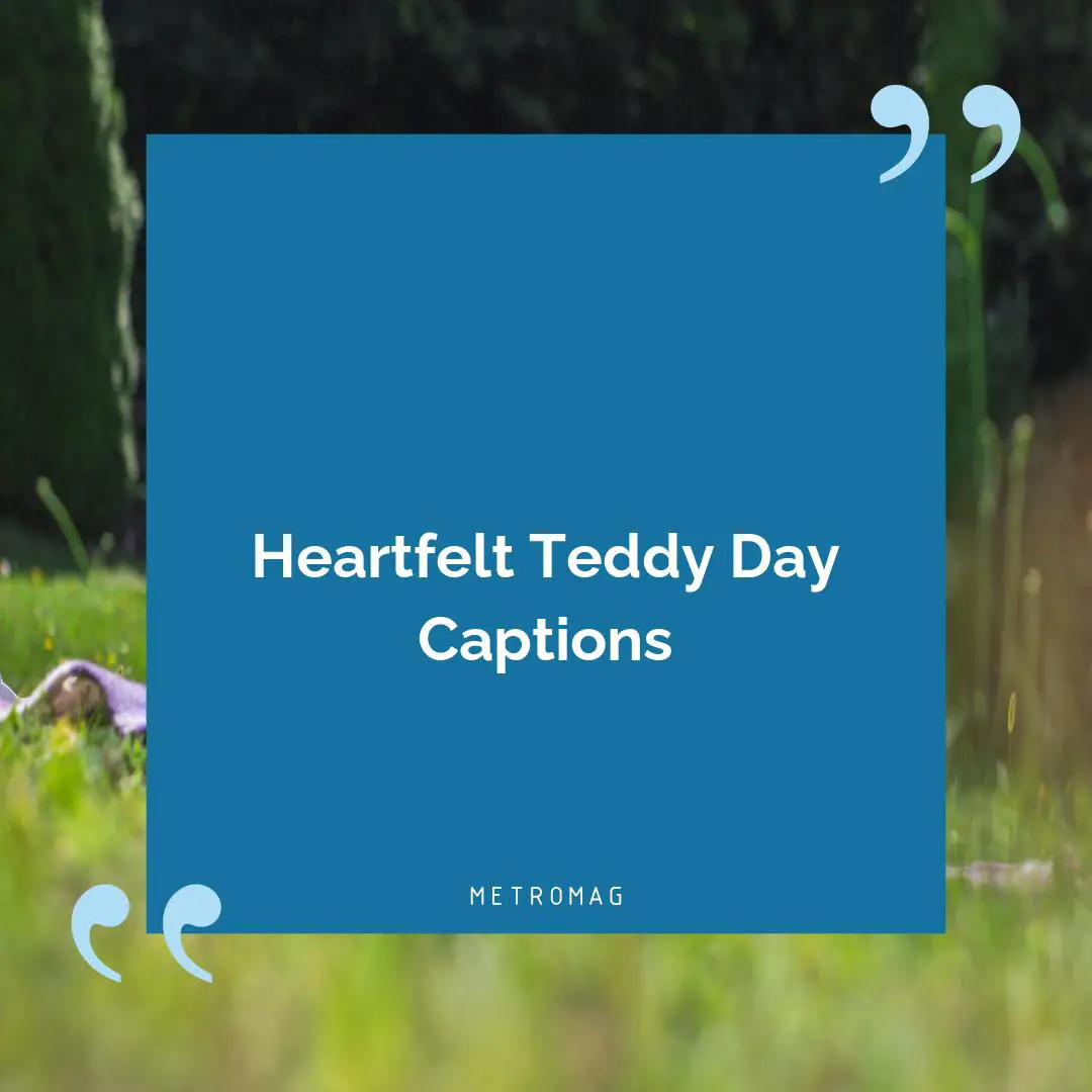 Heartfelt Teddy Day Captions