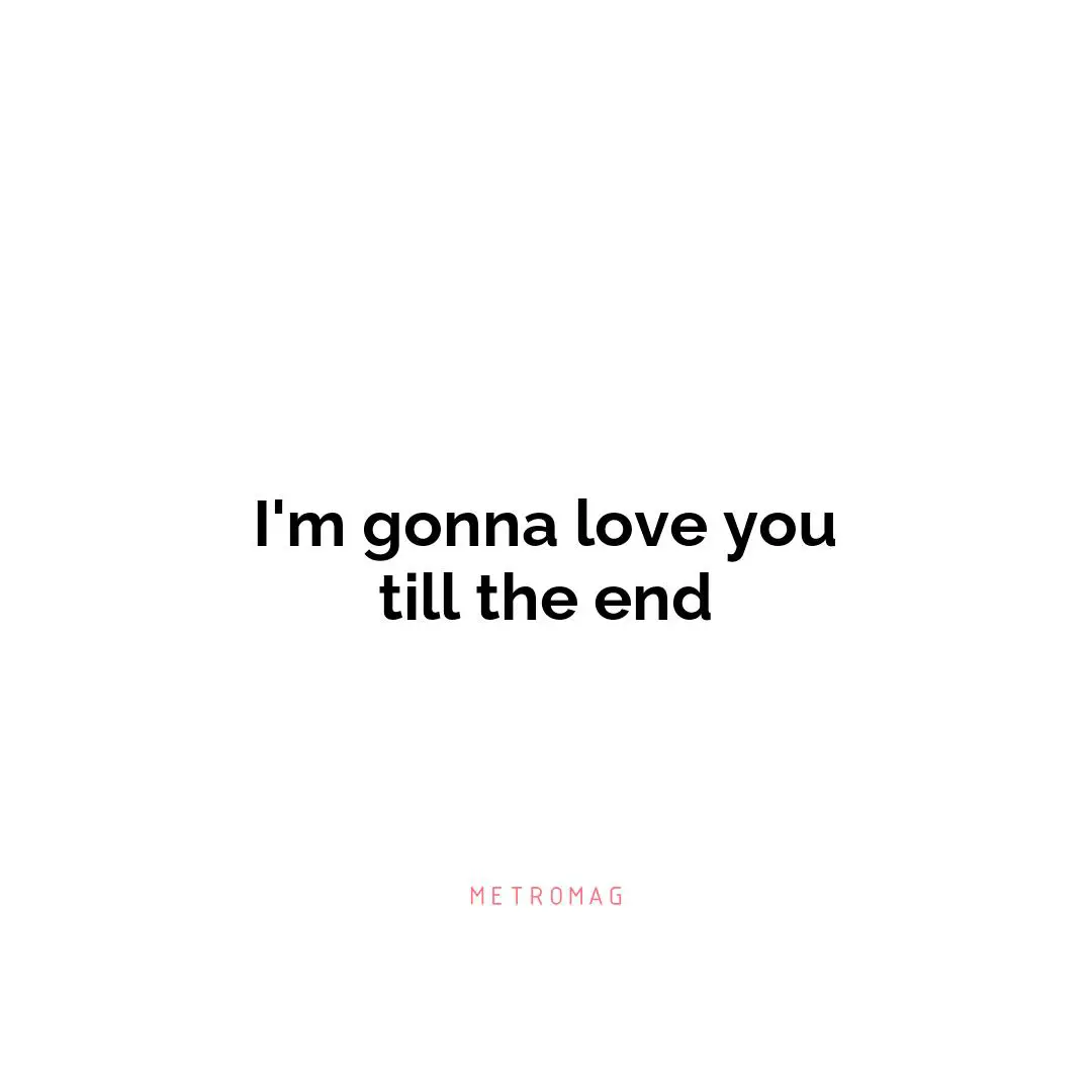 I'm gonna love you till the end