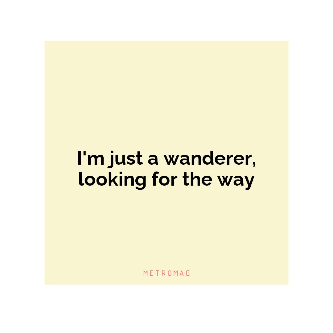 I'm just a wanderer, looking for the way