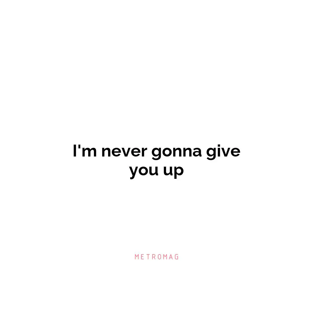 I'm never gonna give you up