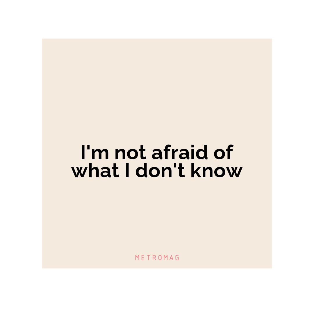 I'm not afraid of what I don't know