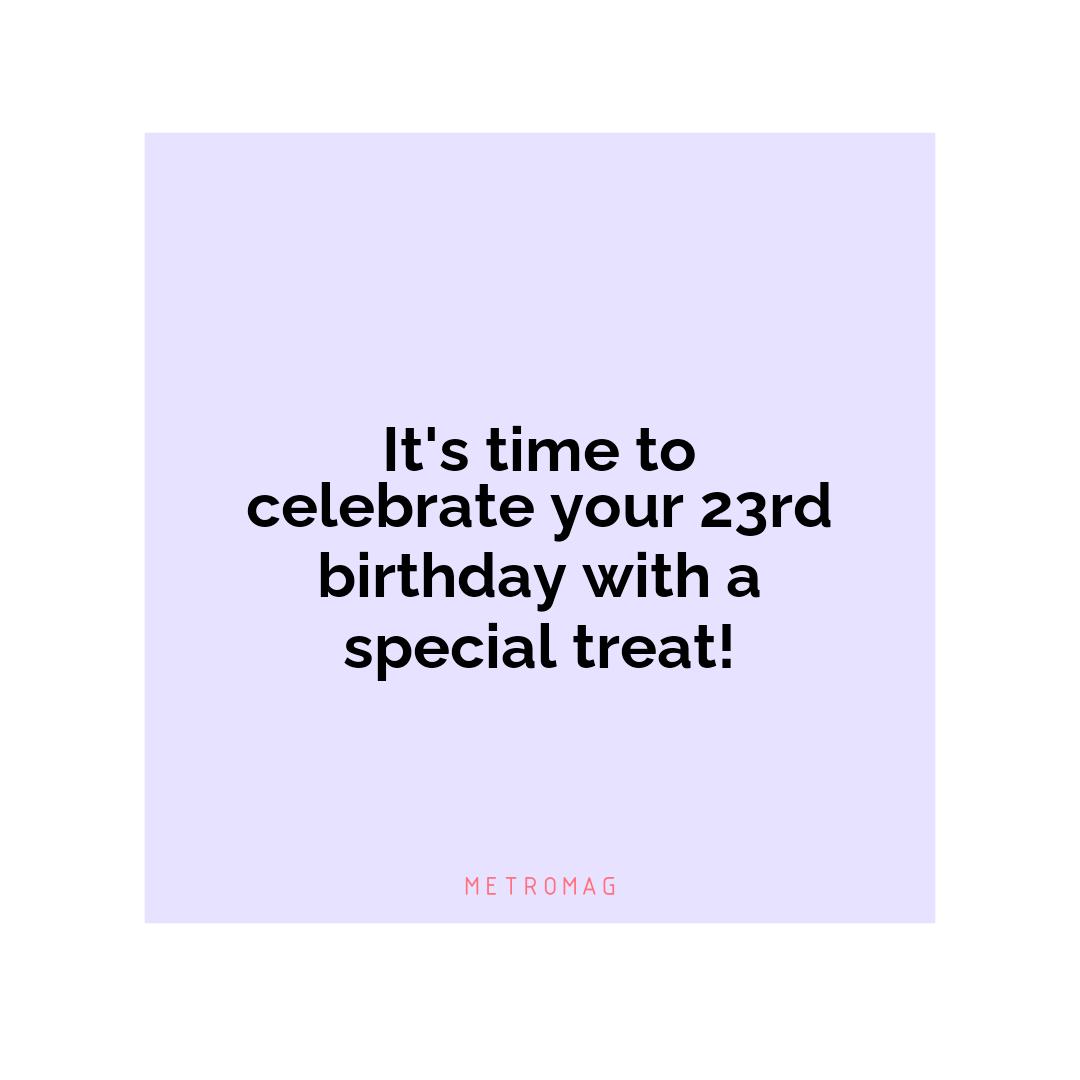 It's time to celebrate your 23rd birthday with a special treat!