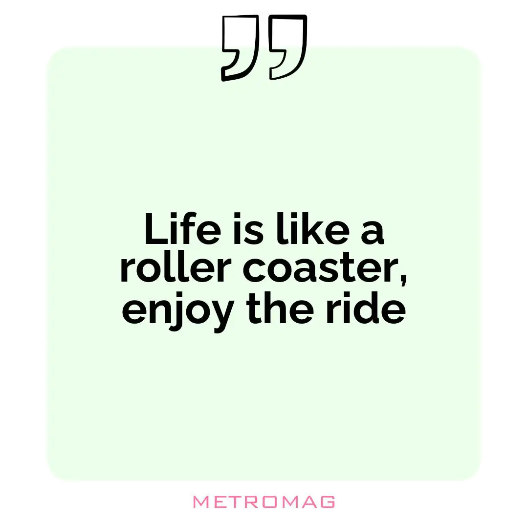 Life is like a roller coaster, enjoy the ride