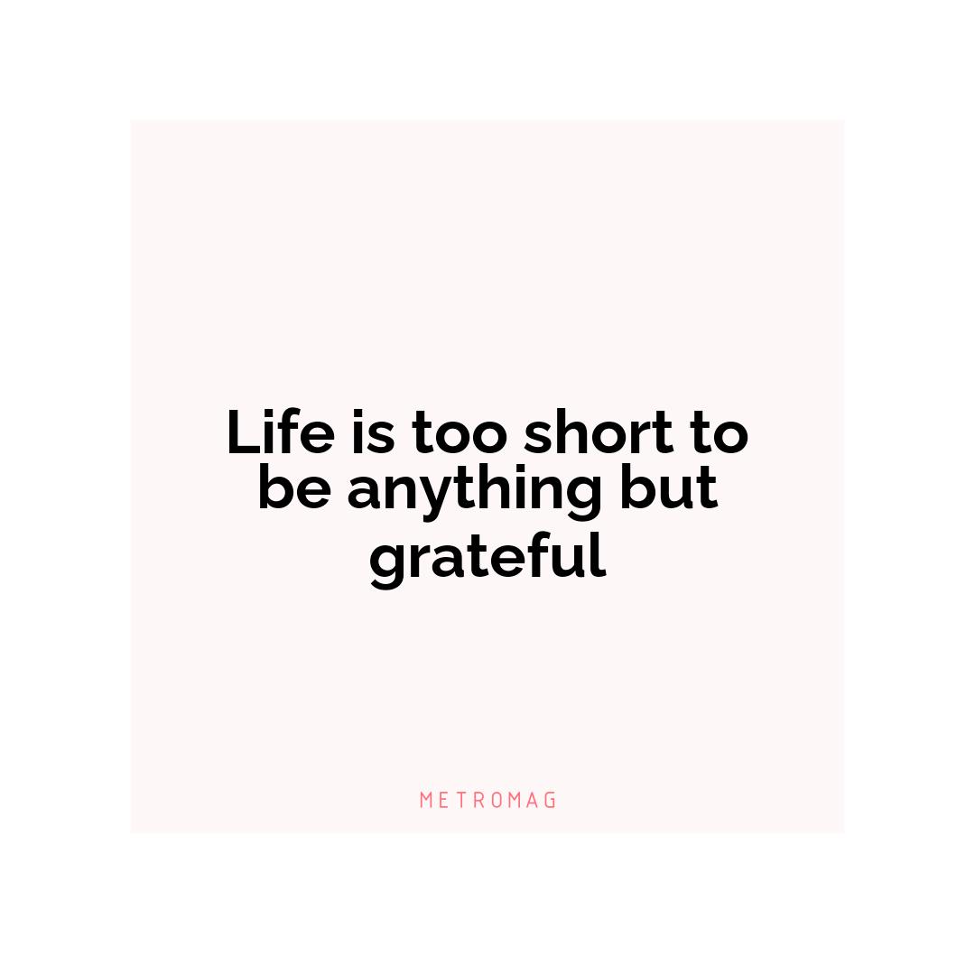 Life is too short to be anything but grateful