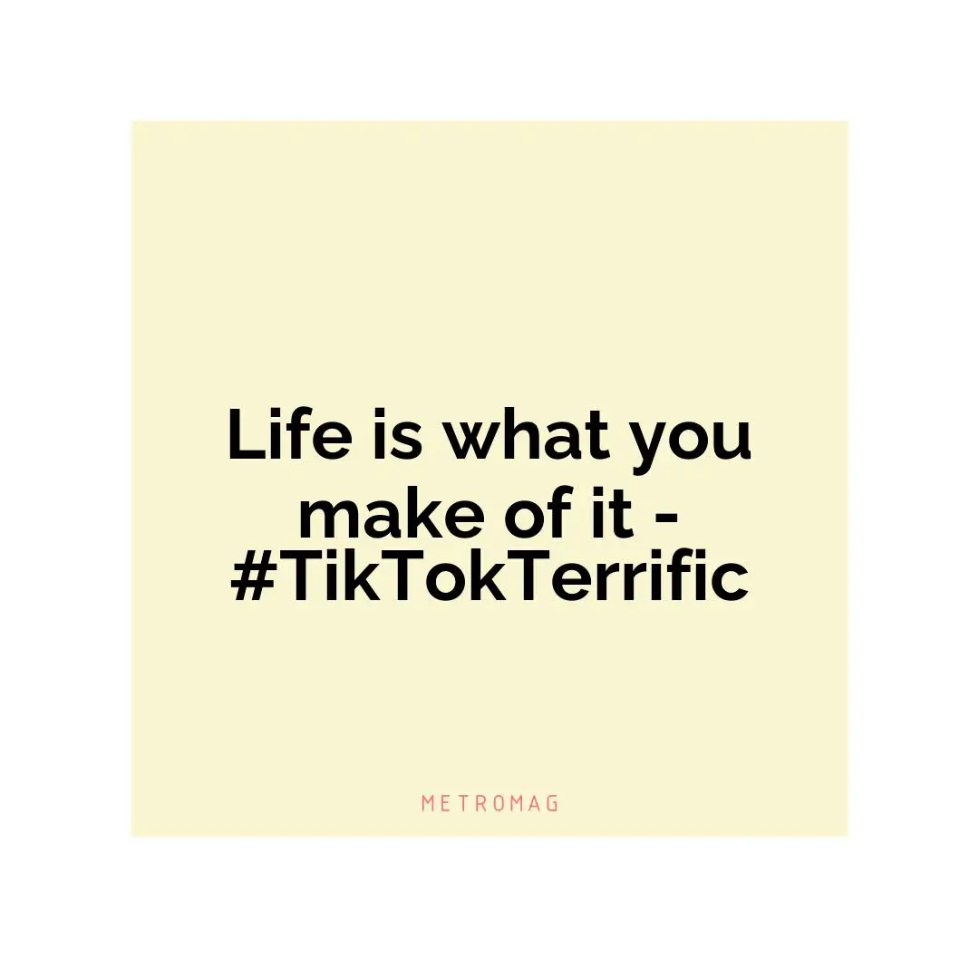 Life is what you make of it - #TikTokTerrific