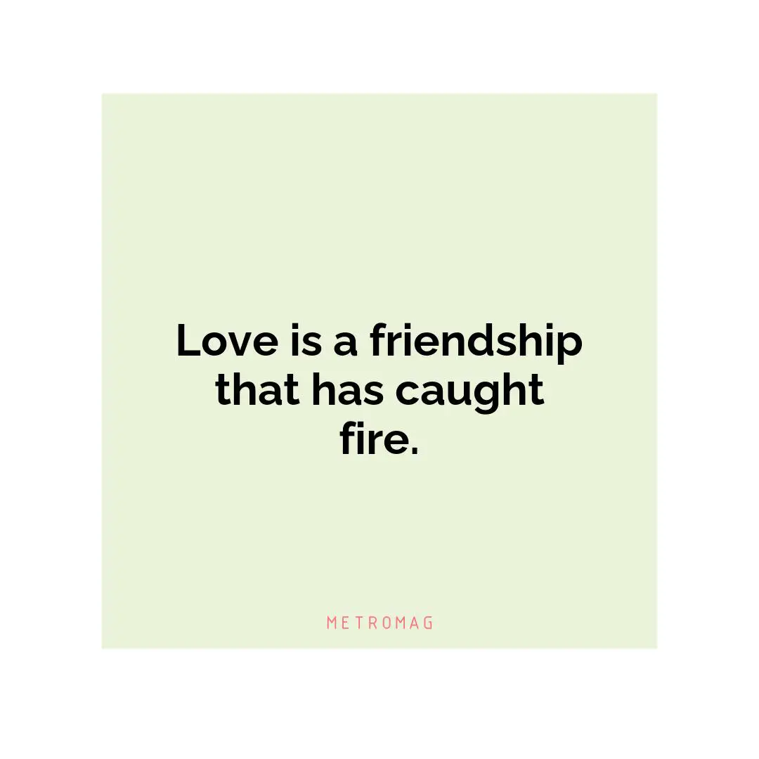 Love is a friendship that has caught fire.
